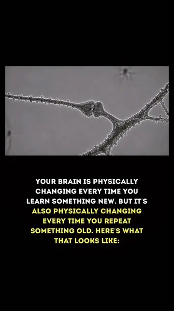 That's the part nobody talks about. Learning a new skill? Brain changes. Reading