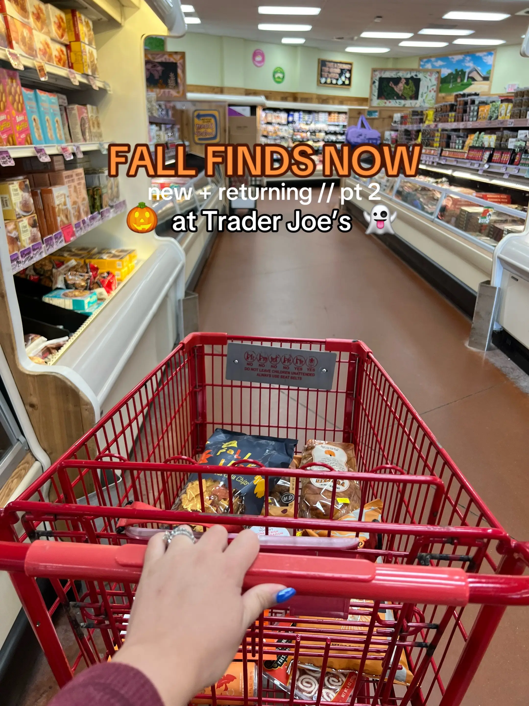 #traderjoes #traderjoesfinds #traderjoesmusthaves #falltreats #pumpkinspice 