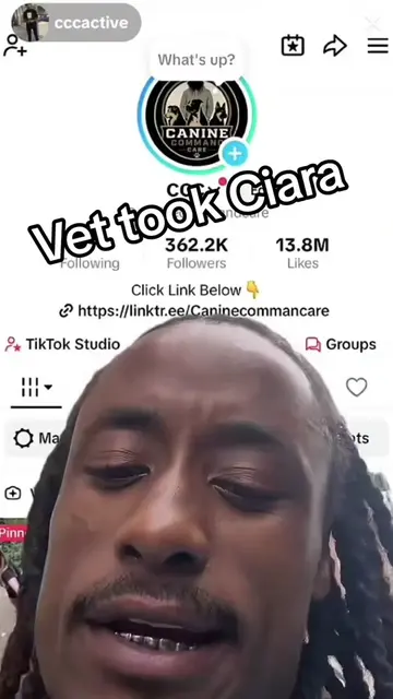 Vet took Ciara #ccc #DogTraining #dogs #doglife #fypage 