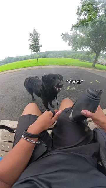 Grim just wanted to get back to his beverage 😅 #dog #dogs #dogvideo #dogvideos 