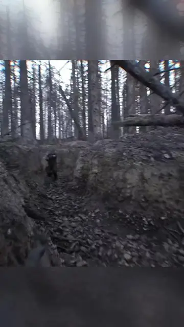 Bodycam: este shooter hace que dispares por puro instinto #bodycam #videojuegos 