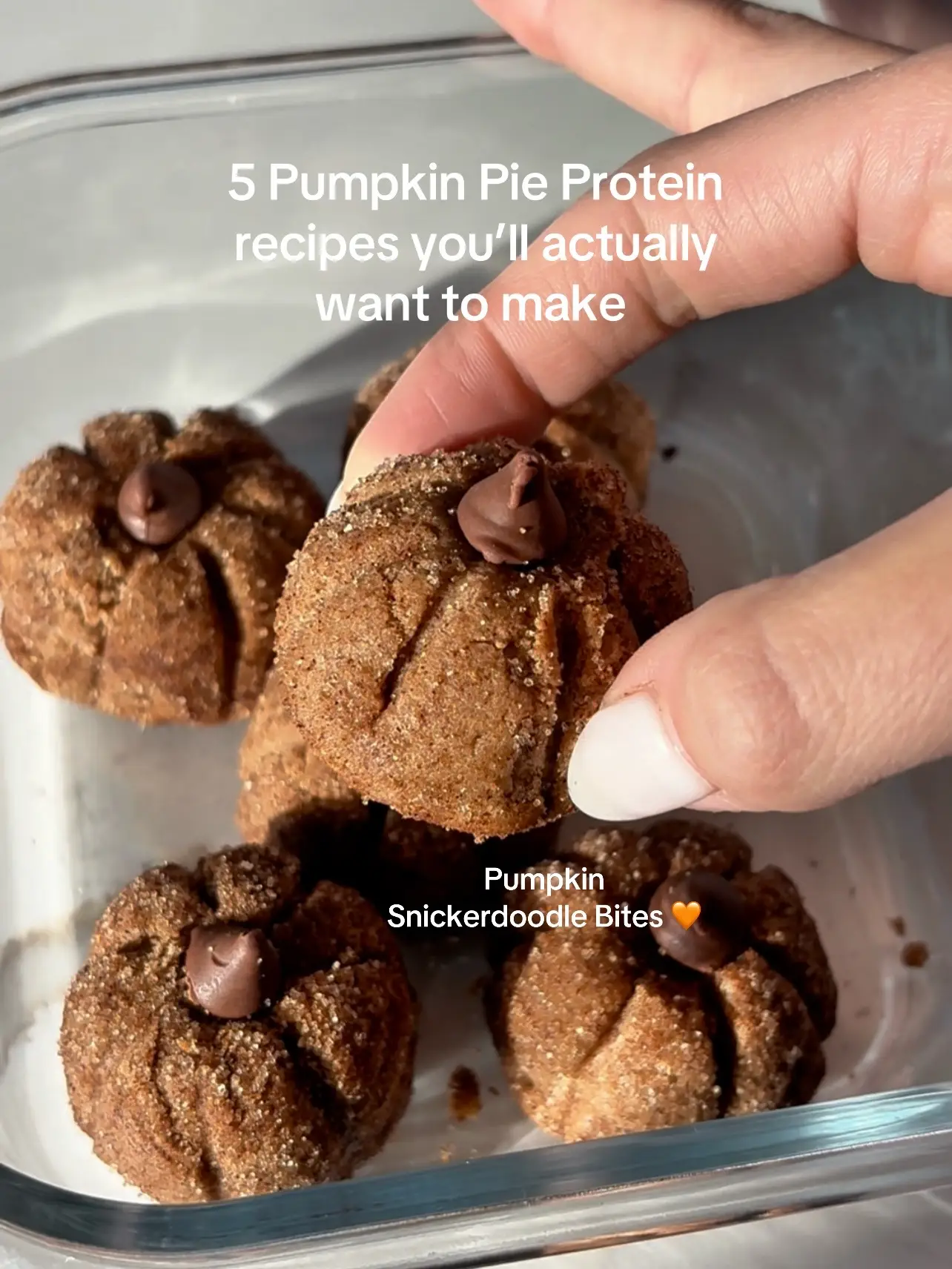 Get all of our fave high-protein pumpkin recipes made with Pumpkin Pie Protein P