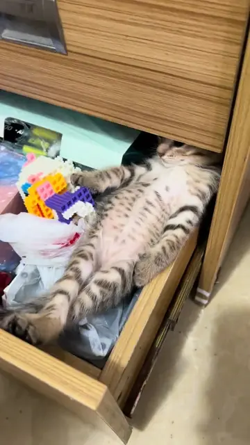 🤣