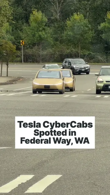 Tesla CyberCabs spotted in Federal Way, WA #tesla #cybercab #teslacybercab 