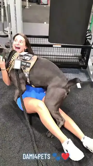 Your dog isn't always “being horny.” 👀🐕 Humping can happen because of exciteme