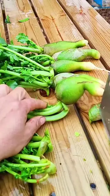 Crunchy Green Radish Trimming With Sharp Cleaver Knife #shorts  #viral