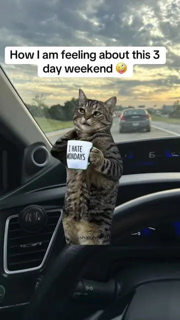 #Meme #MemeCut #weekend #office 