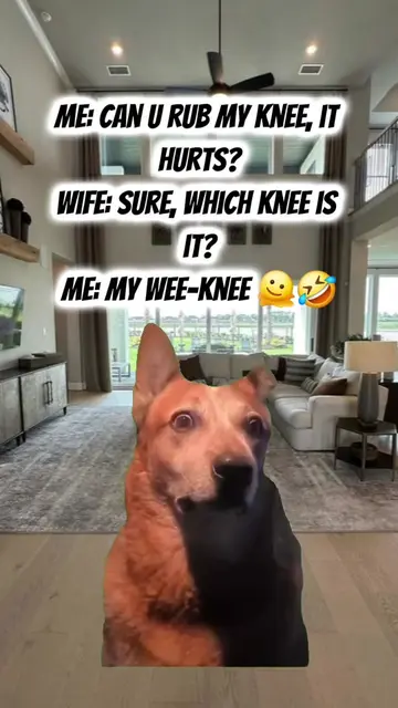#Meme #MemeCut  #funny #dadjokes #fyp 