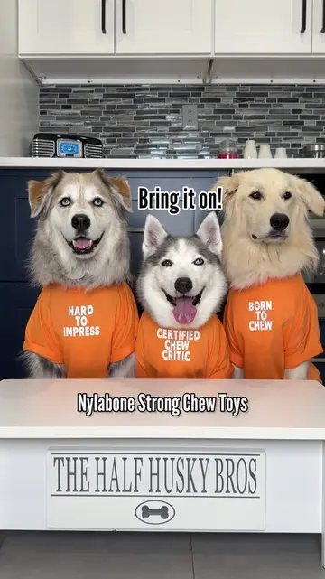 They came to the table ready for a food review but today’s menu has a little mor