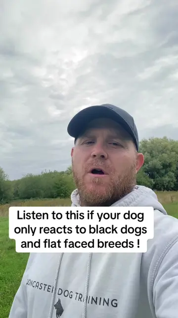 Listen to this if your dog only reacts to black dogs and flat faced breeds ! #Do