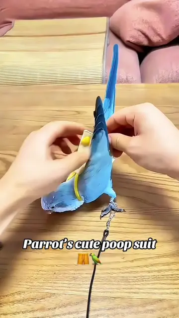 Light reusable parrot diaper. Comfort fit, easy to clean, keeps your space tidy.