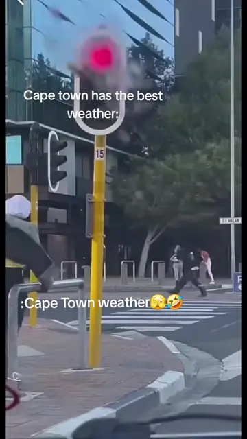 Welcome to Cape Town 😁🤣❤️#capetown #spring #Summer #autumn #winter 🕊😁