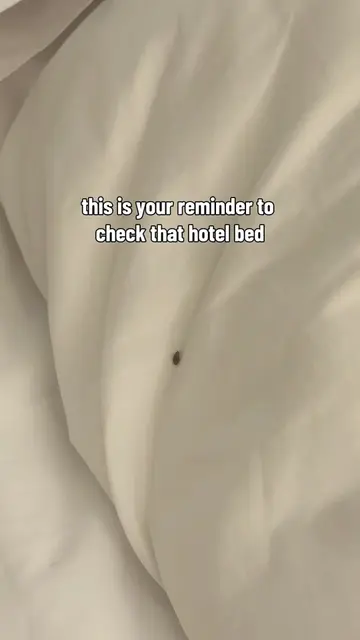 lesson learned for me #bedbugs #toronto #hotel #viral #fyp 