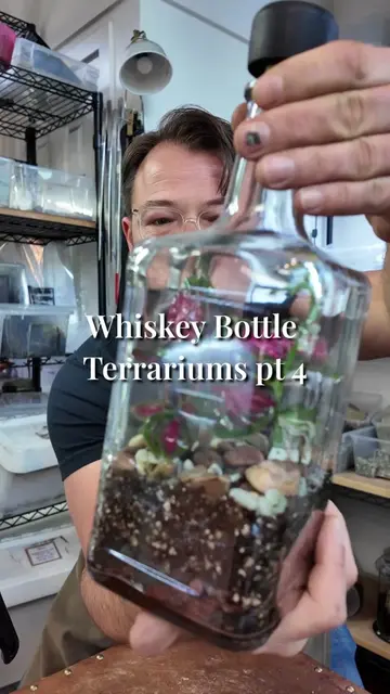 Today we're making a very simple wolf whiskey bottle terrarium. It's a very mini