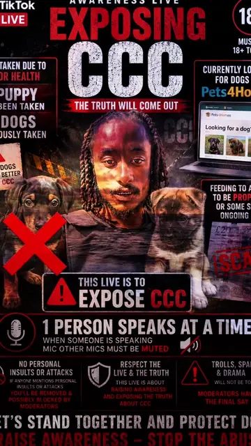 #fyp #mytiktok #dogtok #live #ccc  be Live Soon‼️