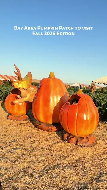 Your complete Bay Area Pumpkin Patch Guide 2026 is here! 🎃🍂 From the South Bay