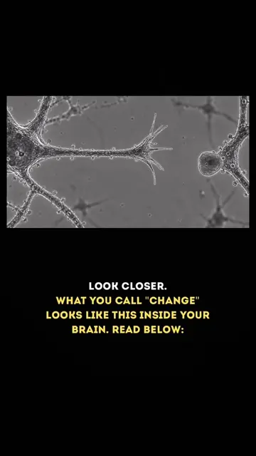 You think change is a decision. It's not. Change is construction. Right now, you