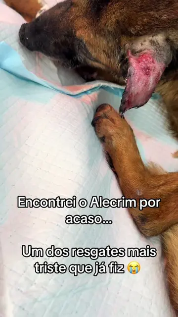 🥹 Meu sonho é que todos comecem a olhar ao seu redor e percebam que sempre pode