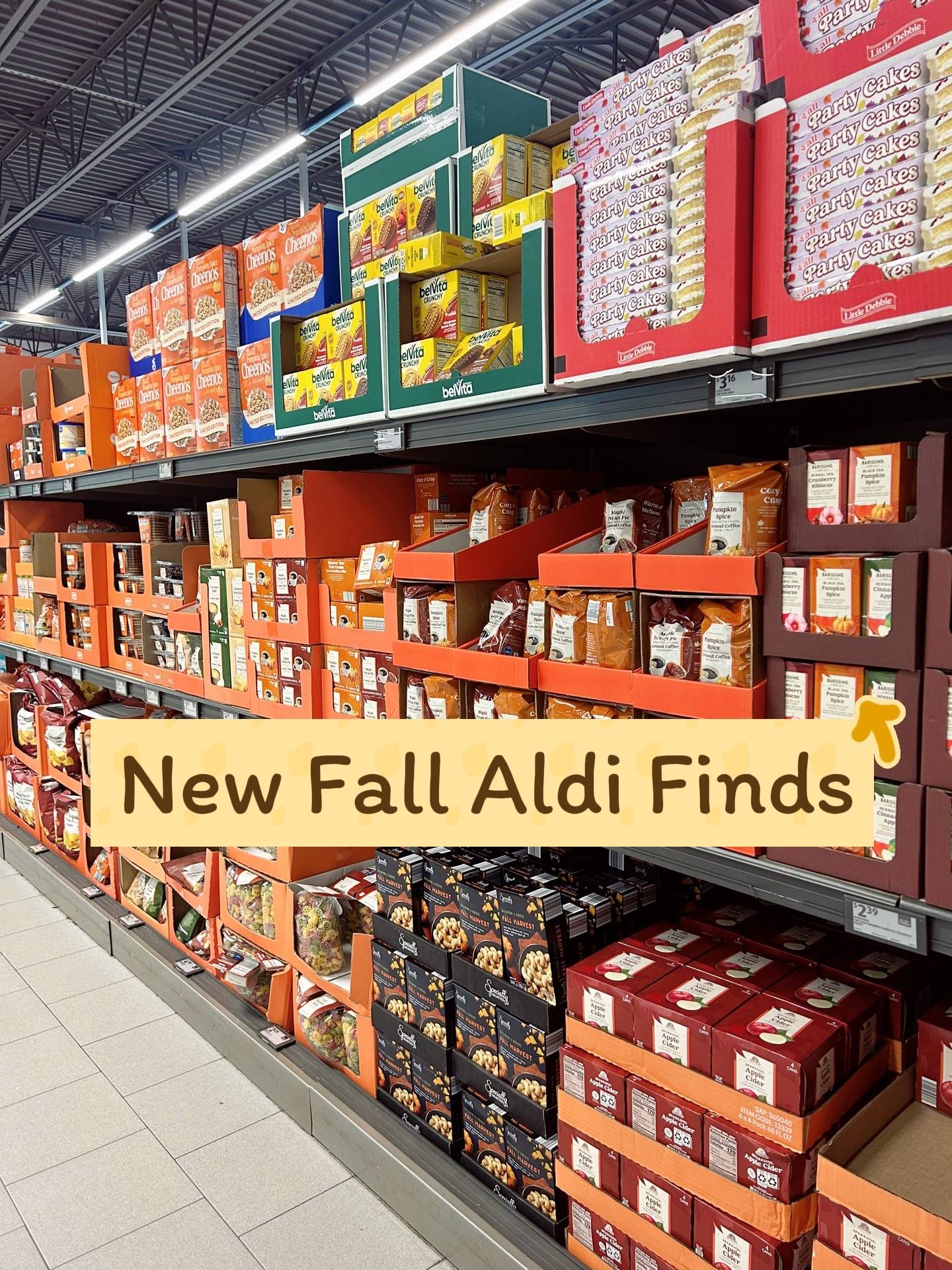 #falldealsforyou #aldifinds #fall #autumn #aldi 