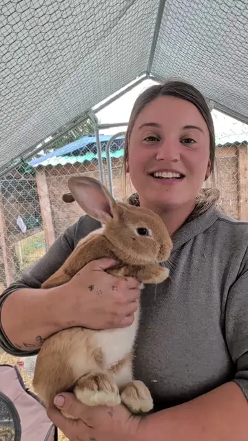 it's officially processing day for our first set of meat rabbits that were born 