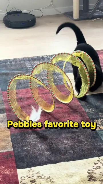 #catsoftiktok #animaltok #cattok #cats #toys