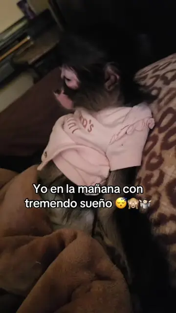 Confirmen jajaja 😹😅#fypシ゚viral #viral #humortiktok #😂🤣😂🤣😂🤣 #pinchetiktok
