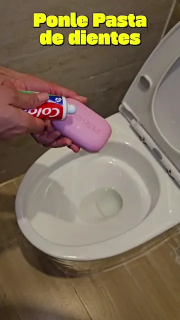 Coloqué esto en mi inodoro y ahora todos quieren la misma receta 