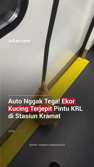 Auto nggak tega lihatnya!  Ekor seekor kucing dilaporkan terjepit pintu KRL Comm
