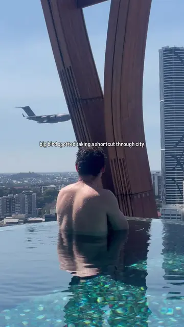 Big bird almost came in for a dip 🐦 Uninvited guest, 77 tonnes, no towel. ✈️ Th