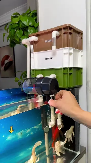 Máy cho ăn tự động, cài sẵn giờ và lượng thức ăn, đi chơi vài hôm cũng đỡ lo cá 