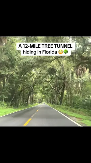 One of those roads that makes you wonder what Florida looked like 100 years ago.