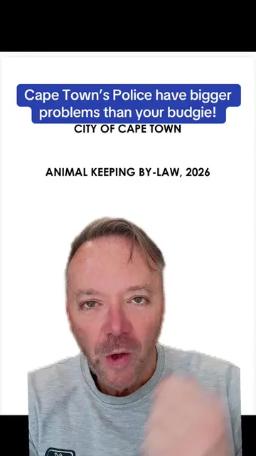 #greenscreen The DA-run City’s new Animal Keeping By-law wants a permit for your