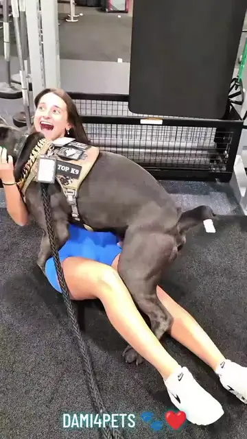 When your dog suddenly looks way more enlarged than usual… don’t automatically a