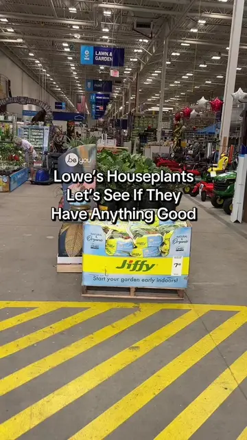 Rare plant hunting at the blue store. 👀 I seriously would have copped that agla