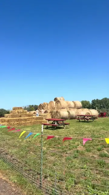 Opens today!! #minnesota #appleorchard #orchard #fall #fyp 