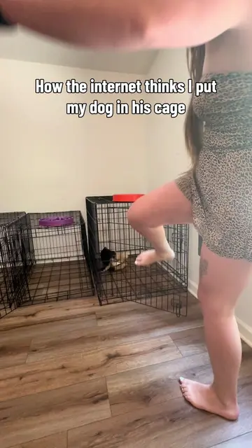 Preparing myself for all of the “crates are for lazy dog owners” comments😅 #cra