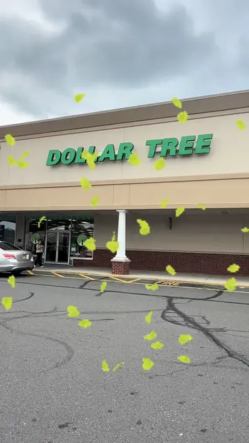 Fall DIY in less then 5 minutes 🍂🍁🧡 #dollartree #fall #fallseason #Otoño #fal
