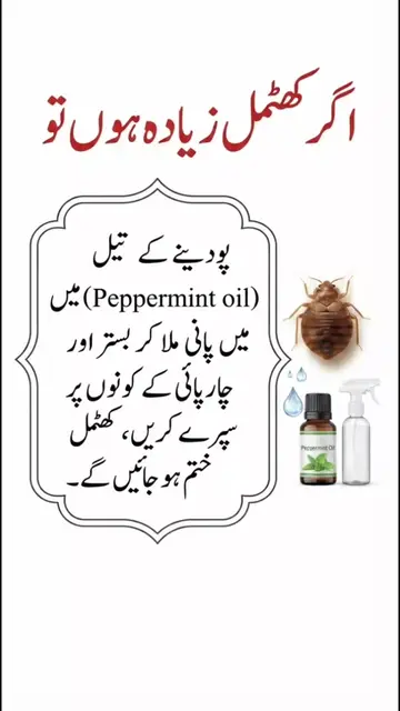 Home Remedies ​Insect Repellent ​Pest Control ​Natural Remedies ​Bug Hacks ​Fly 