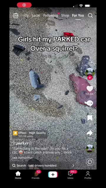 That’s the best lie they could come up with🤣 #squirrel #carcrash #funny 