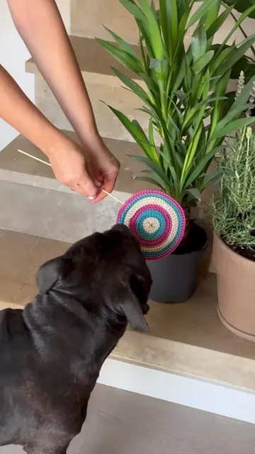 🕯️🐝 Déjate sorprender por nuestras velas artesanales elaboradas con láminas de