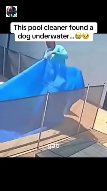 When a pool cleaner becomes a real-life hero! 🥹❤️🐶 He performed CPR and gave t