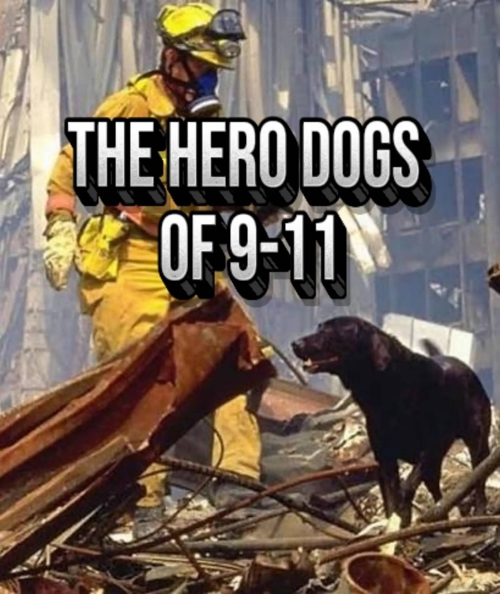 The Dog of 9/11