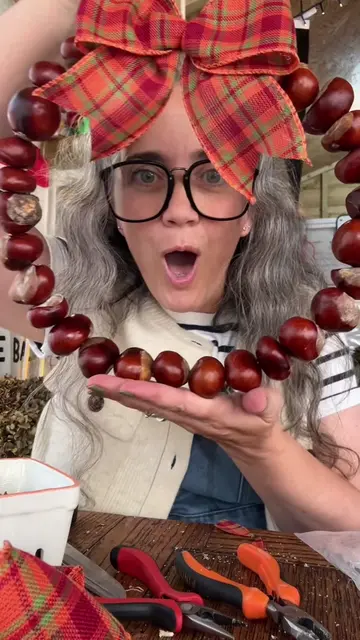 Picked up my first bag of conkers yesterday, the first of many hopefully #Autumn
