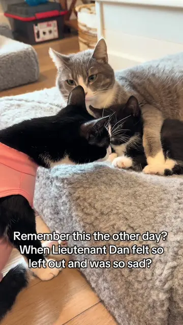 The other day when Lieutenant Dan was upset that Poppy and Dolly were together, 
