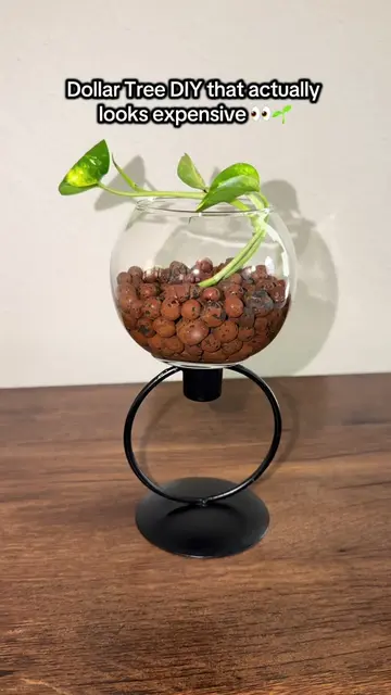 Dollar Tree really came through with this one 😍🌱 I put together these cute lit