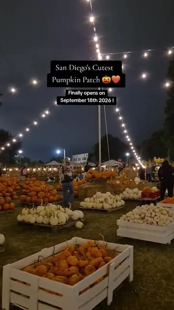Such a cute little pumpkin patch, dog friendly, cozy, with so many photo spots �