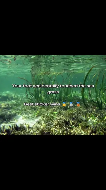 Its so weirdd stepping on them 😭 #fyp #viral #targetaudience #seagrass #blowthi