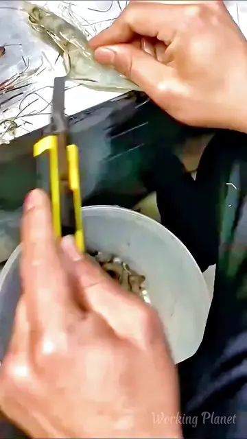 ieza de Camarones en SEGUNDOS ⚡Lip