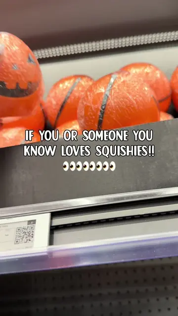The tiny pumpkin pail was already cute… then I realized it was filled with SQUIS