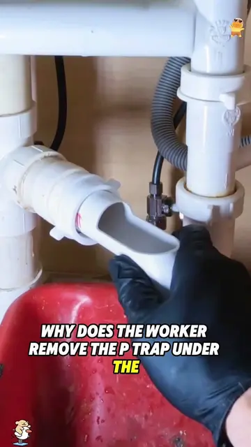 Would You Clean the P-Trap First or Snake the Drain? #Plumbing #Plumber #DrainCl